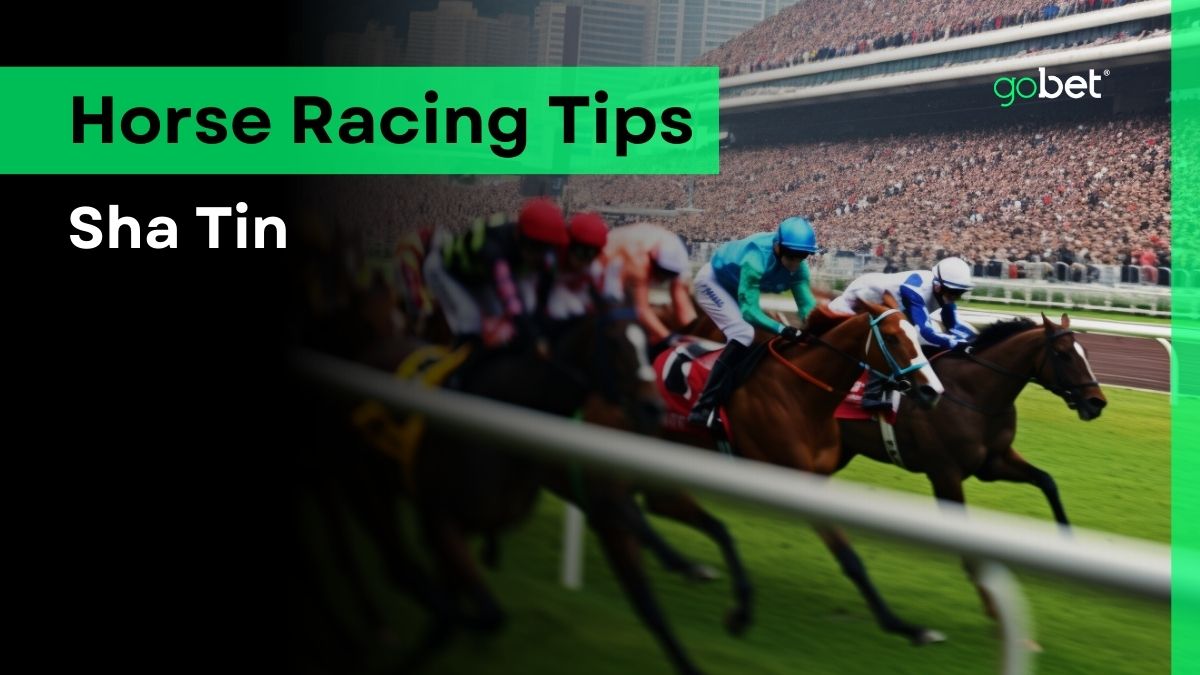 gobet sha tin horse racing tips